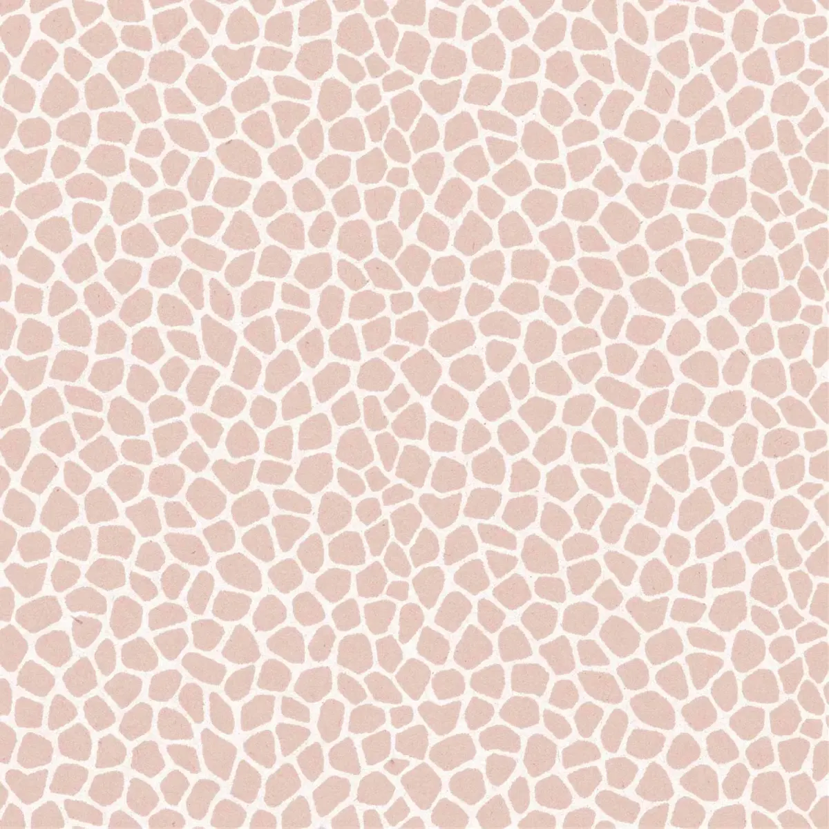 17184