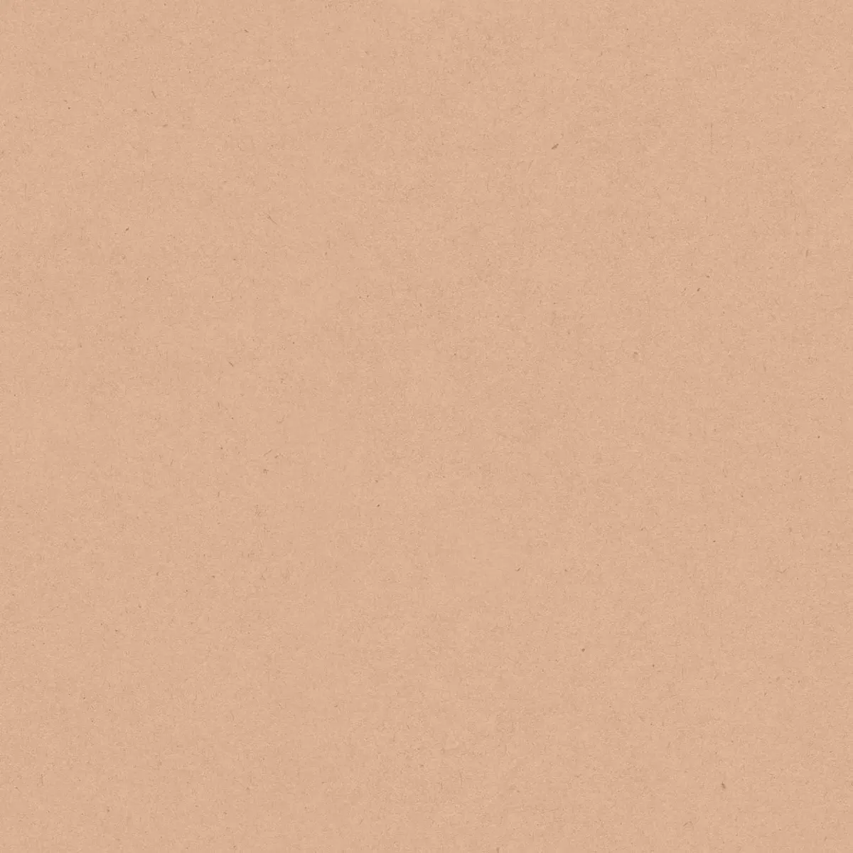 17198