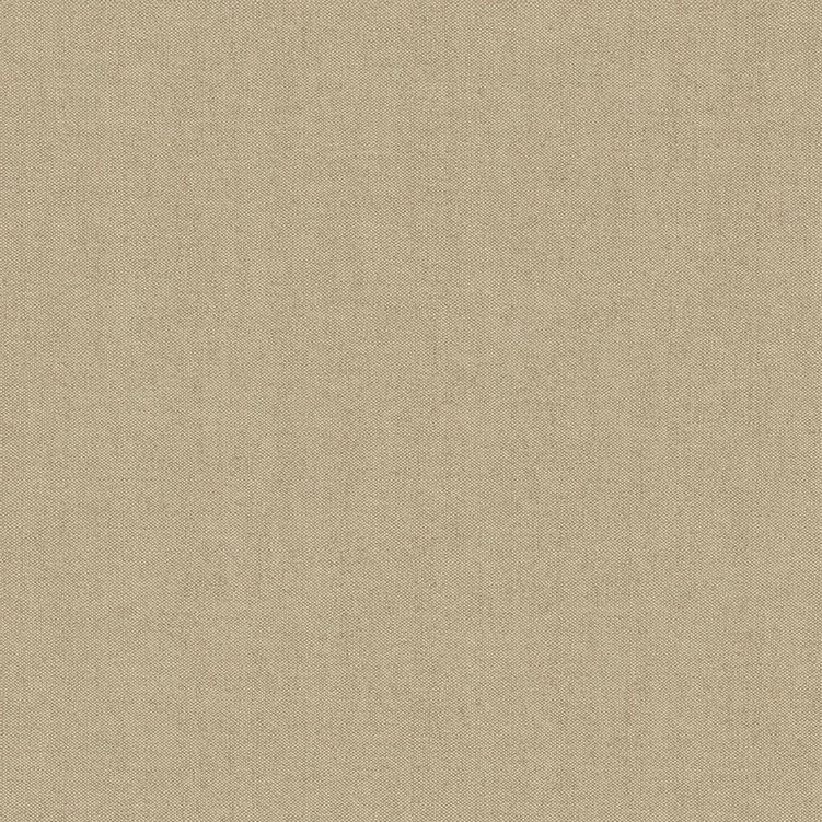 ARCHE - 39067