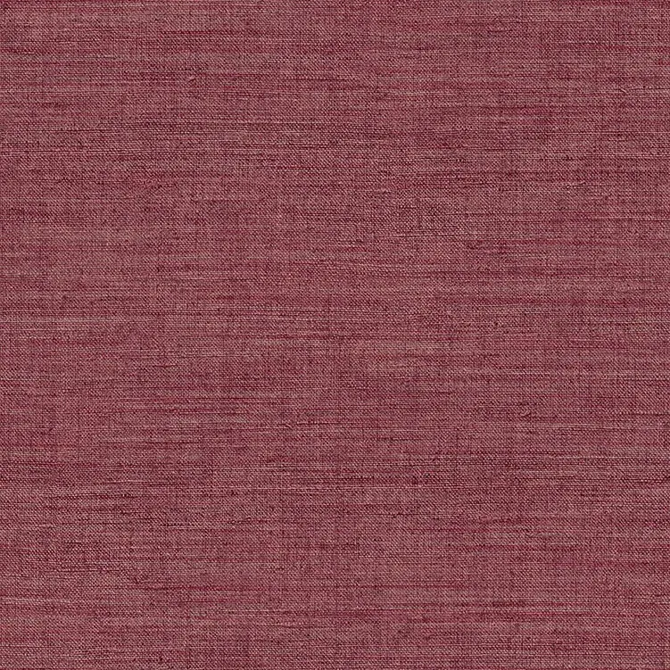 ARCHE - 39058