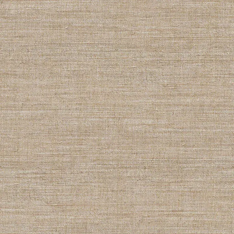 ARCHE - 39054