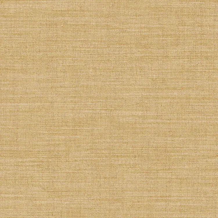 ARCHE - 39053