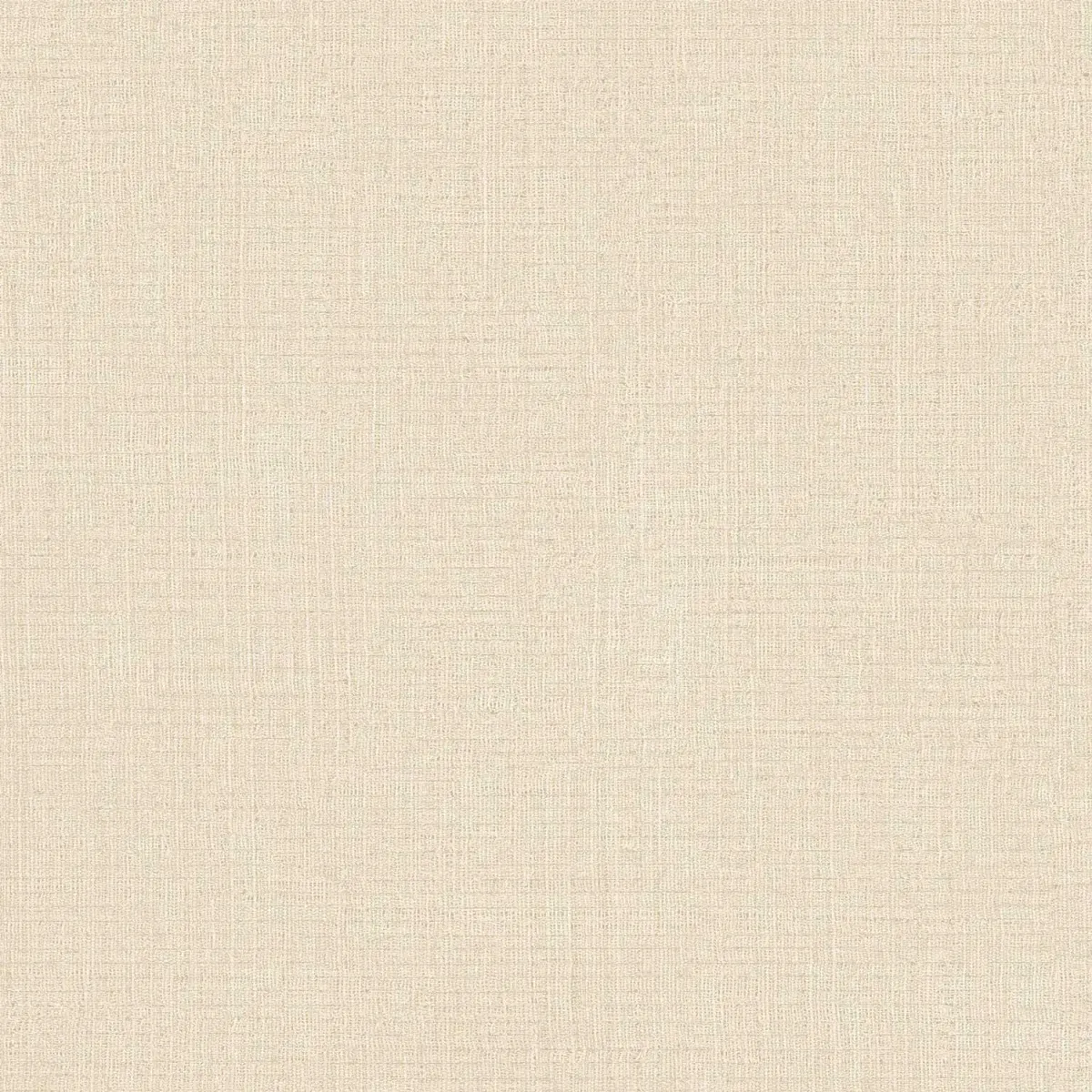 SINTESI - 27564