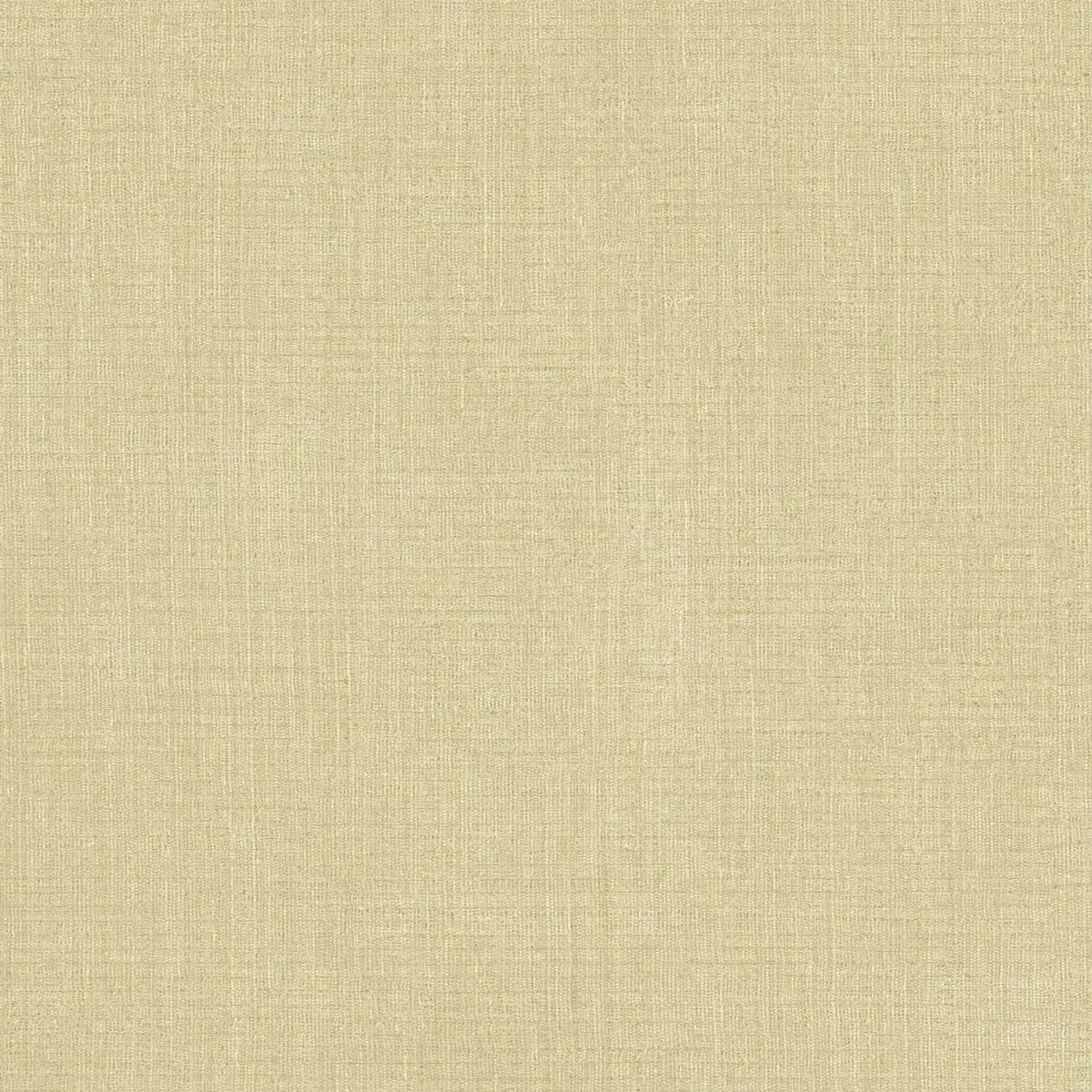 SINTESI - 27565