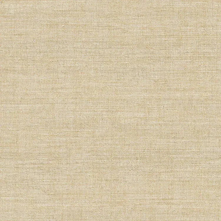 ARCHE - 39043