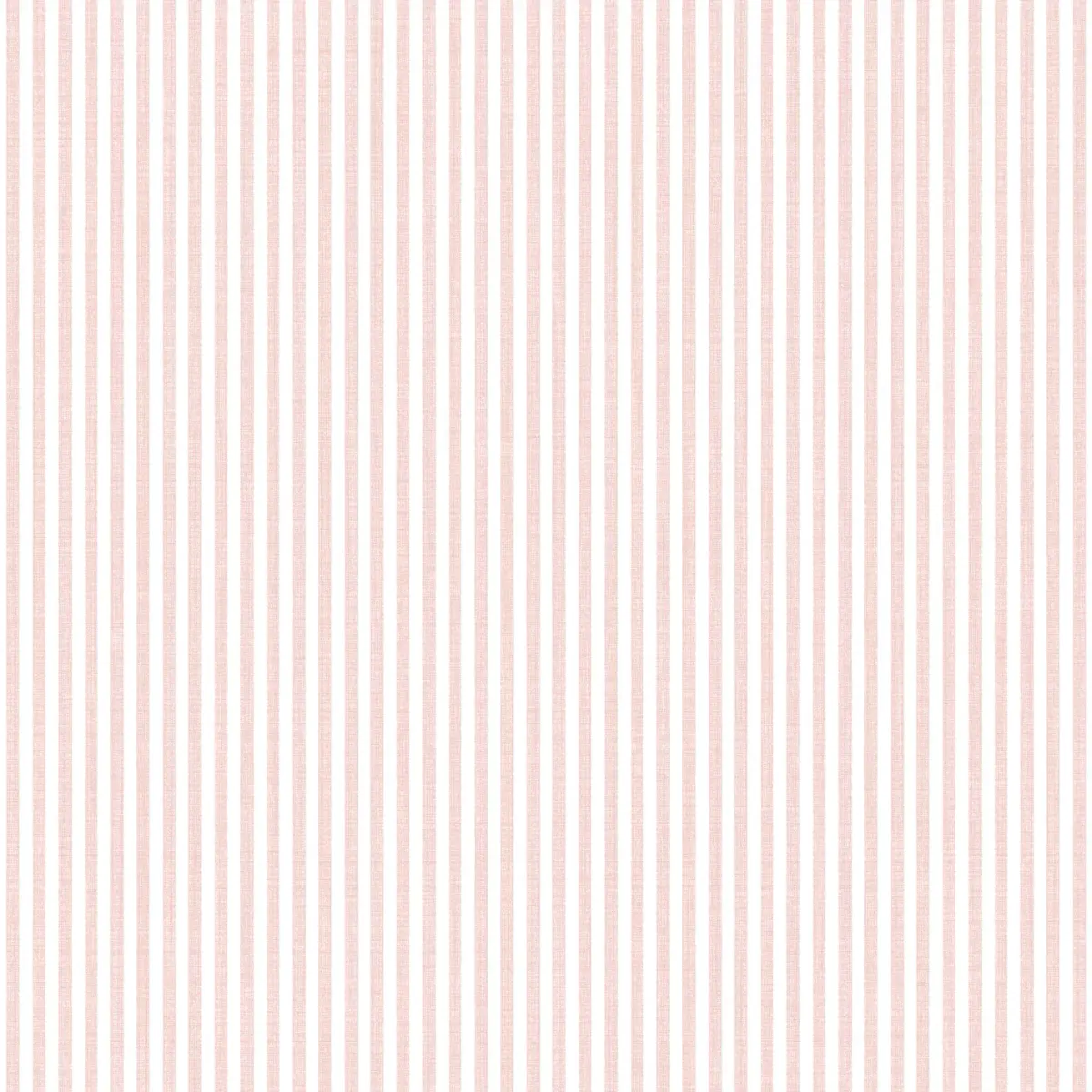 MOMI - 4464