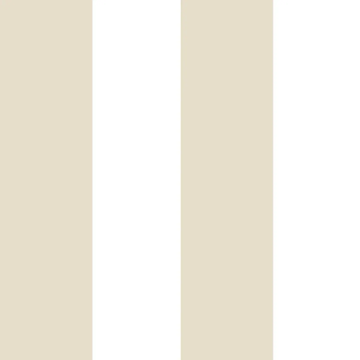 MOMI - 4467
