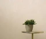 ELLE DECORATION 5 - 10654-02