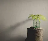 PURE HARMONY - 10589-11