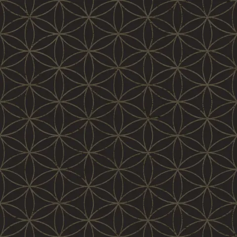 22054