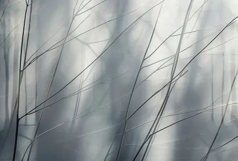 22088-07-01