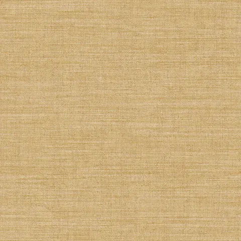 ARCHE - 39053