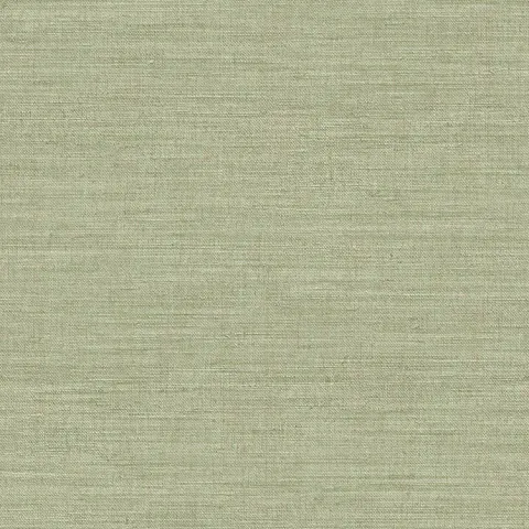 ARCHE - 39045