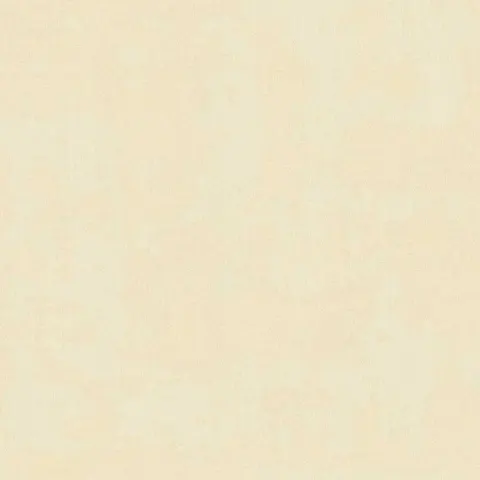 SINTESI - 27531
