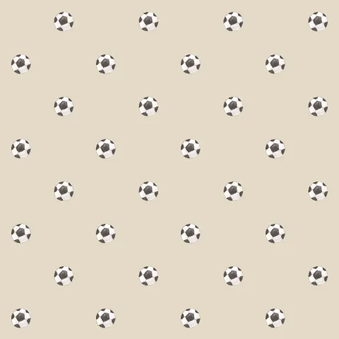 MOMI - 4455