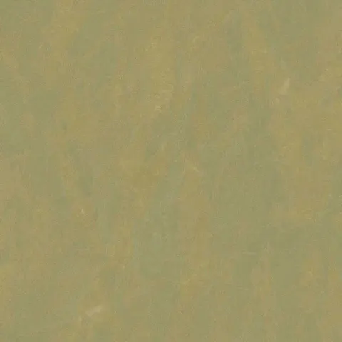 AGORÁ - 7785